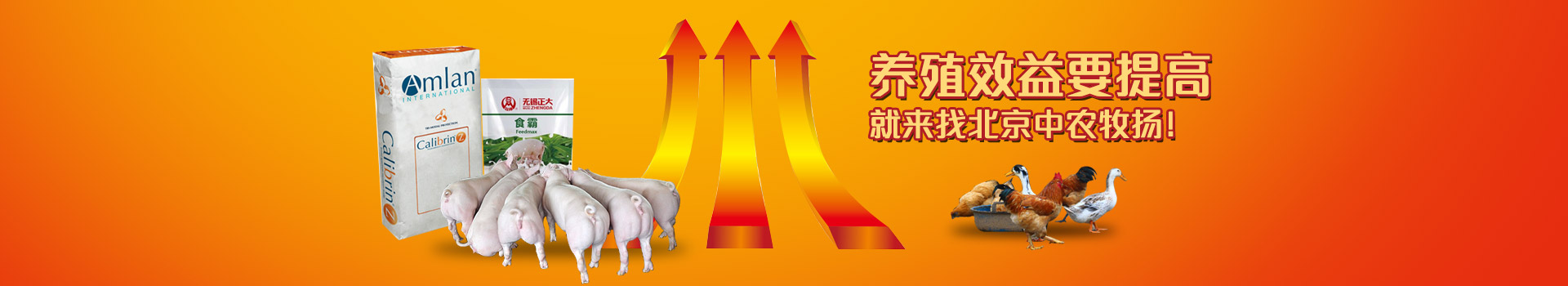養(yǎng)殖效益要提高，就來找北京中農牧揚